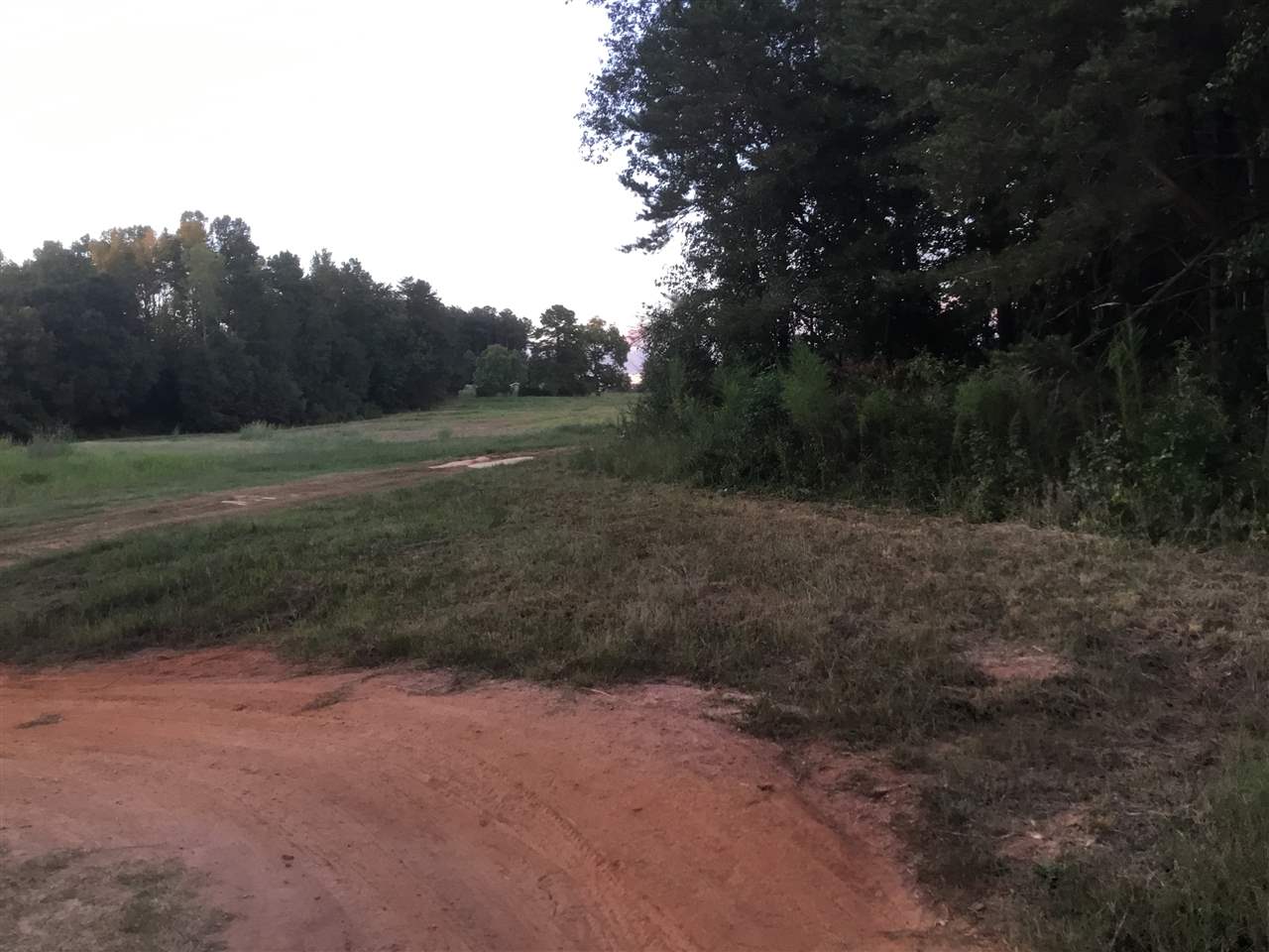 0 Walls Road Greer, SC 29651 - Photo 9 of 10