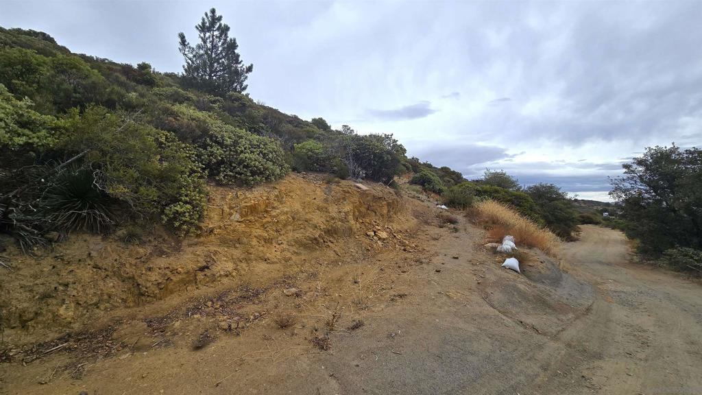 0 Edgewood Drive Julian, CA 92036 - Photo 6 of 10 a view of a dry yard with mountains in the background