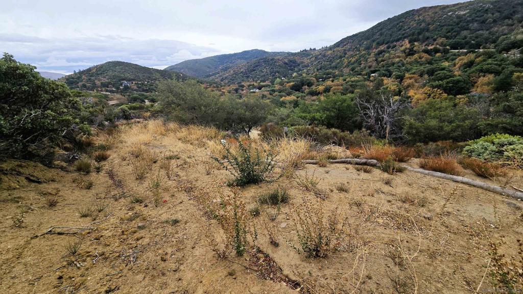 0 Edgewood Drive Julian, CA 92036 - Photo 7 of 10 a view of a forest with mountains in the background