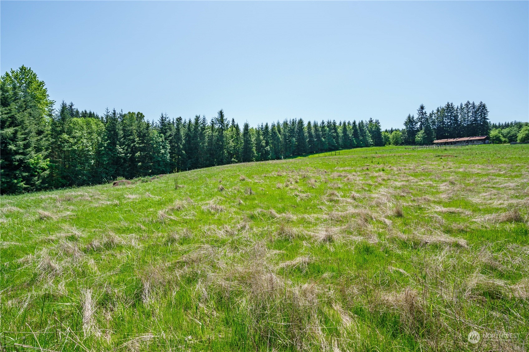 3 Carnine Road Silverlake, WA 98645 - Photo 12 of 17 Gallery Image 12