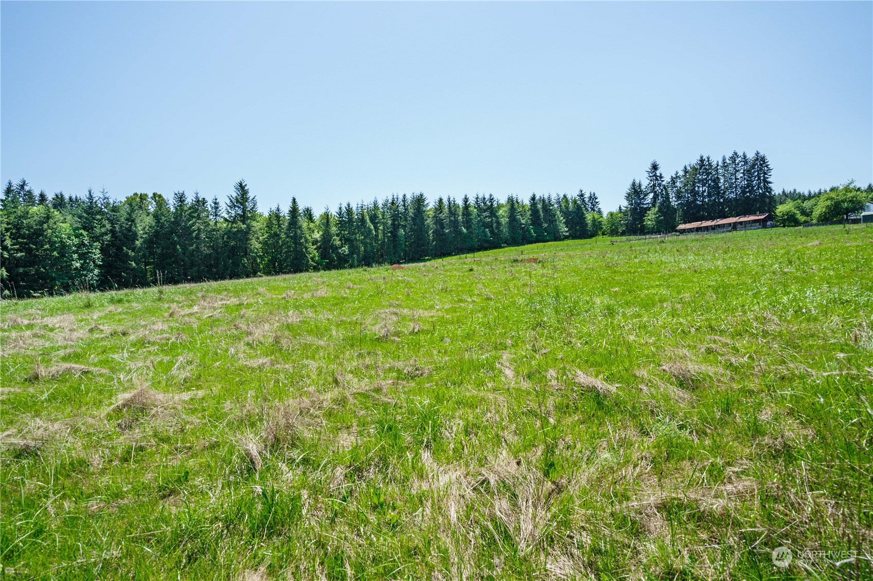 3 Carnine Road Silverlake, WA 98645 - Photo 13 of 17 Gallery Image 13