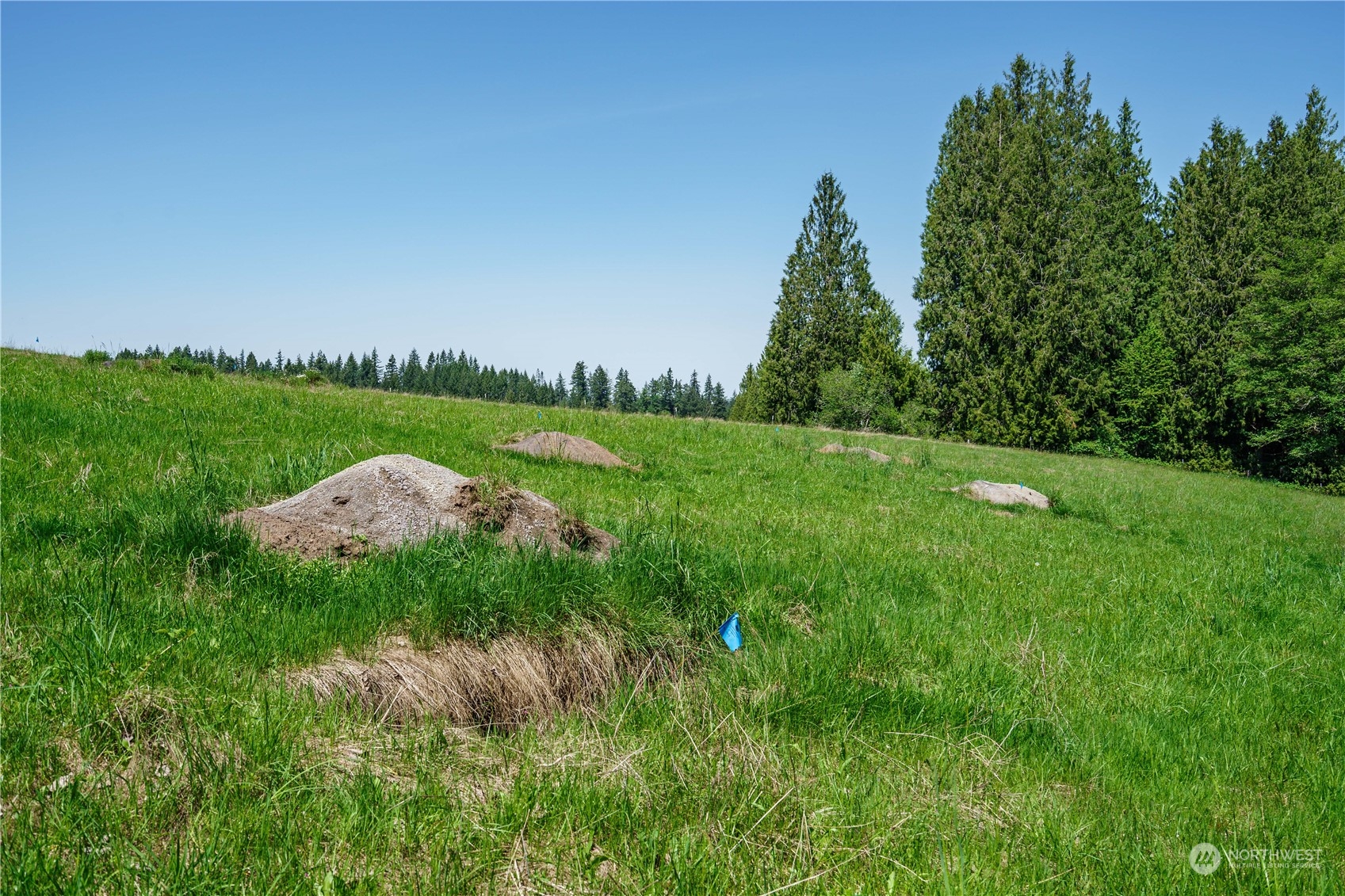 3 Carnine Road Silverlake, WA 98645 - Photo 7 of 17 Gallery Image 7