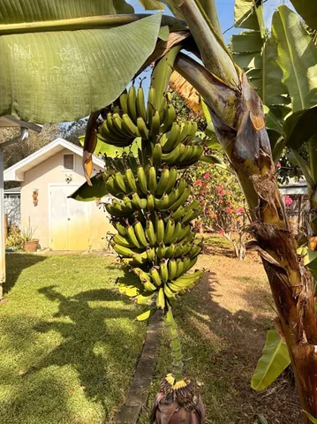 $399,900 | 1512 Lime Street, Clearwater, FL 33756