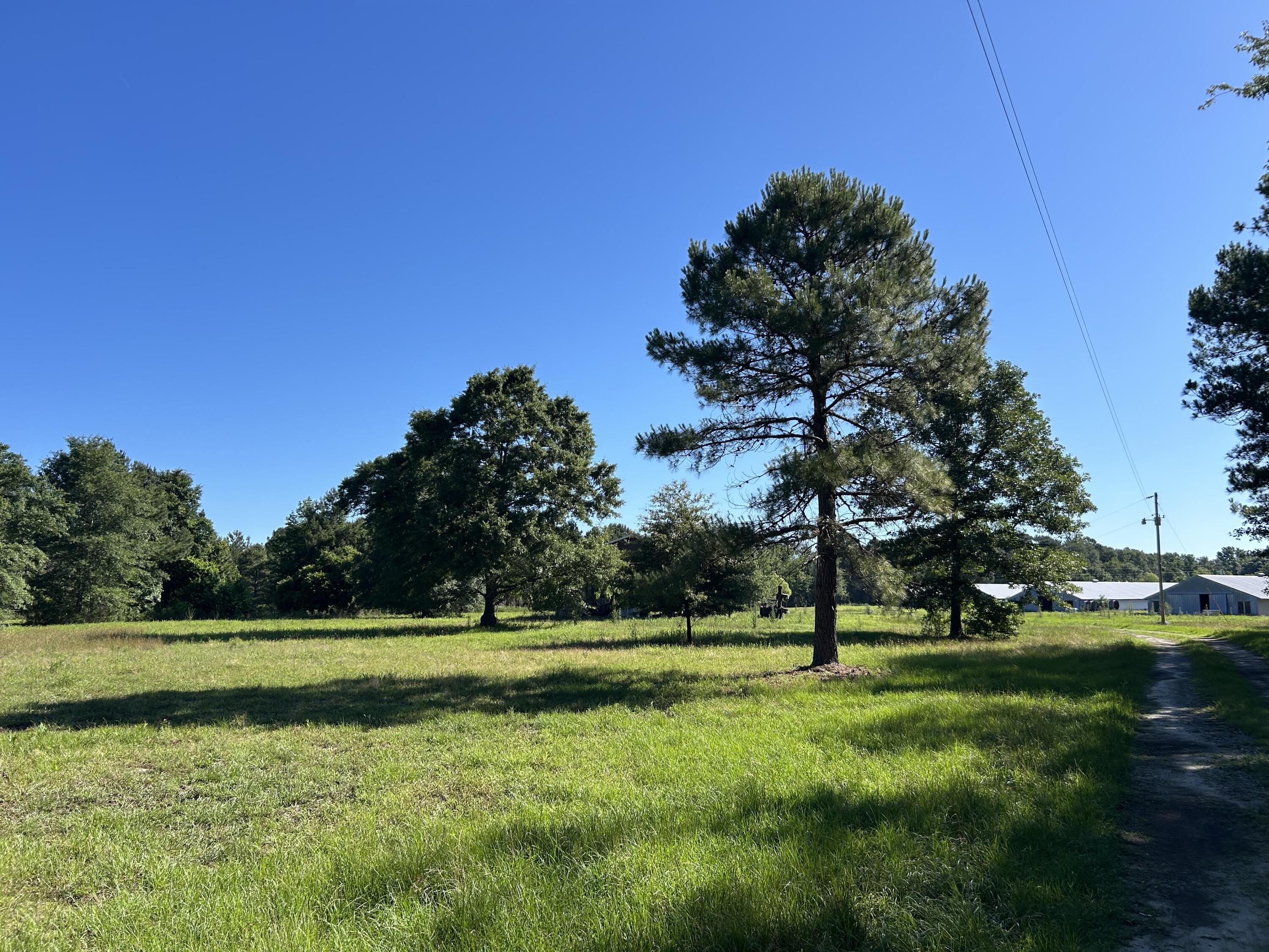 0 Holladay Road Manning, SC 29102 - Photo 29 of 35