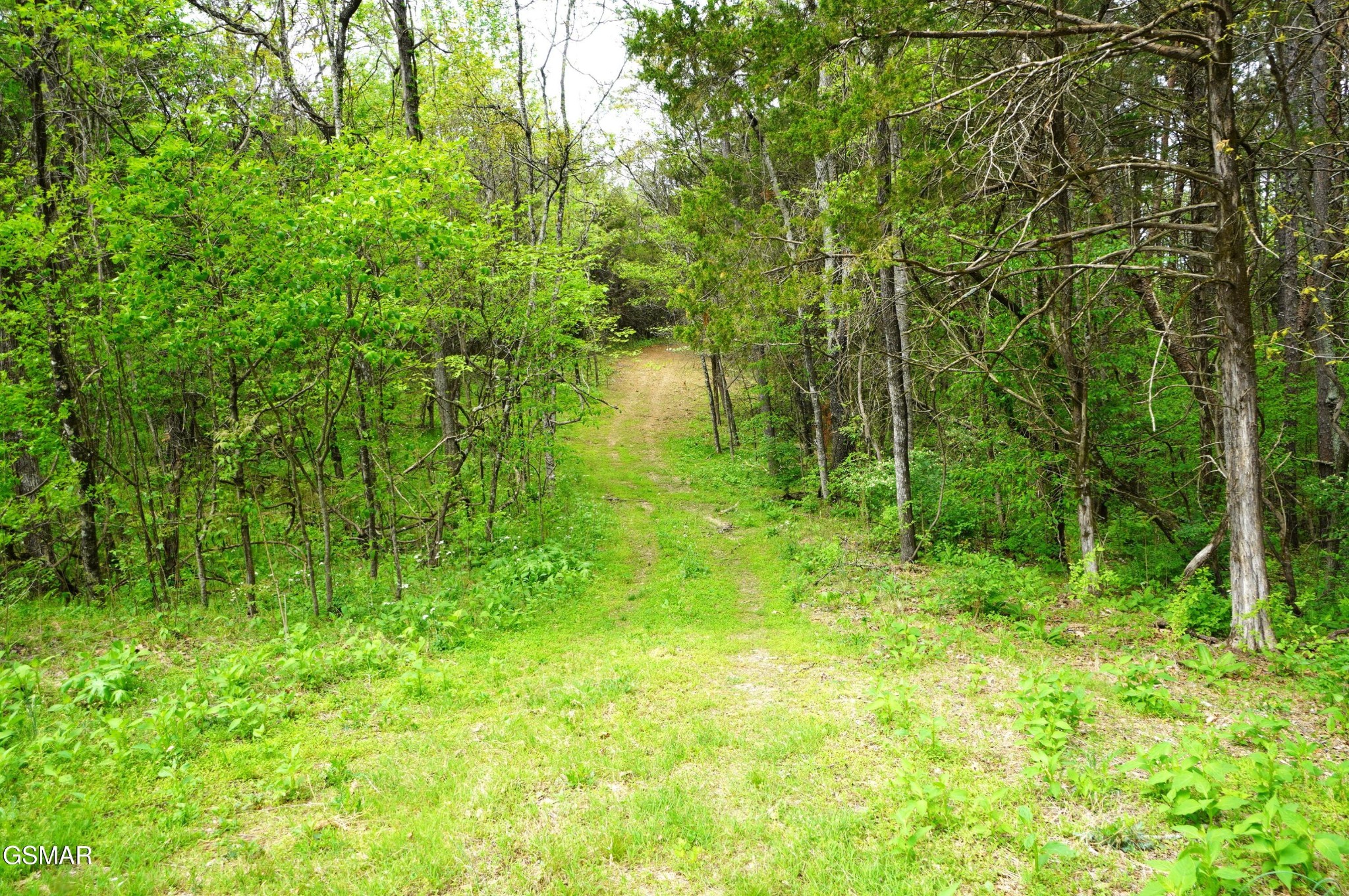 19 Pleasant View Cemetery Road New Market, TN 37820 - Photo 5 of 26 Gallery Image 5