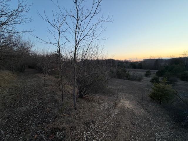 0 2nd Street Harrison, MI 48625 - Photo 15 of 16