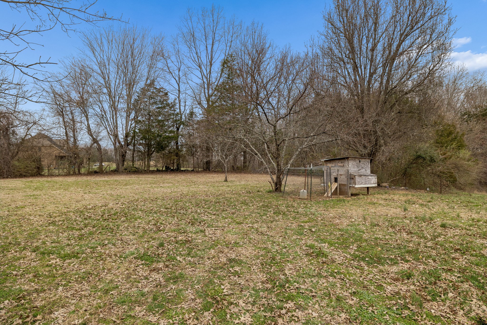 3669 Bluff Springs Road McMinnville, TN 37110 - Photo 41 of 51 a view of outdoor space with trees