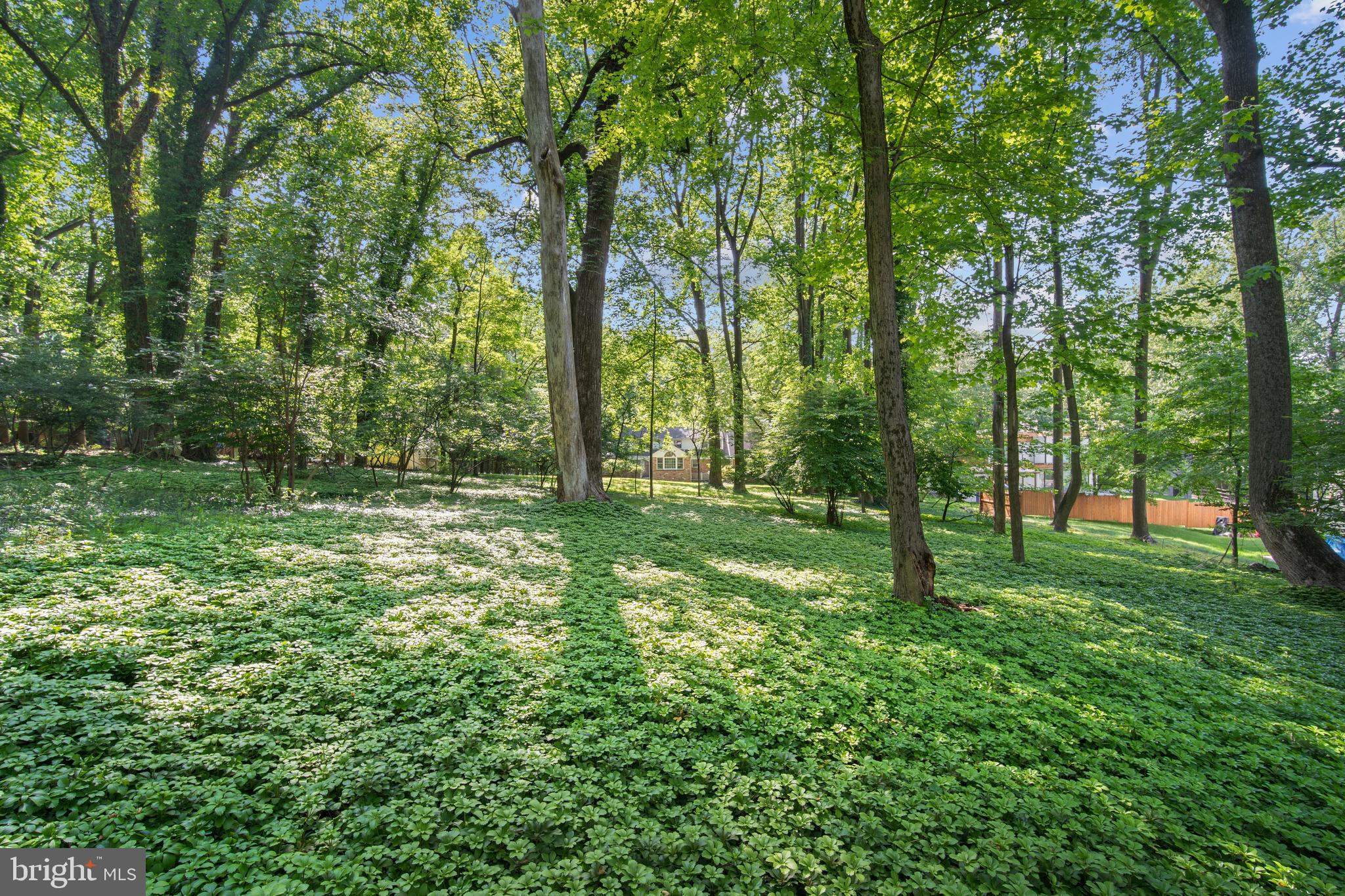 11021 Marcliff Road Rockville, MD 20852 - Photo 1 of 9 A Beautiful Setting to Build Your Dream Home
