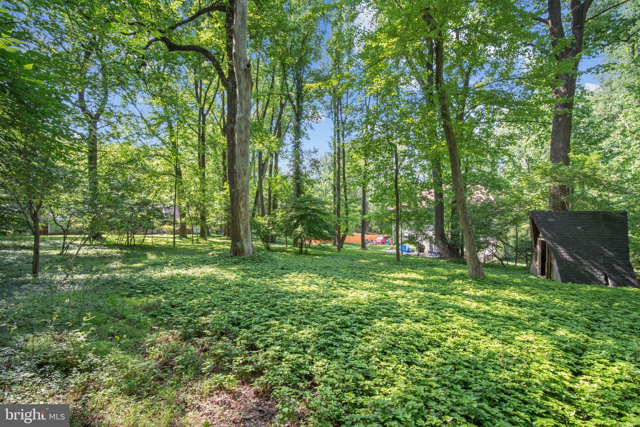 11021 Marcliff Road Rockville, MD 20852 - Photo 5 of 9 A Beautiful Setting to Build Your Dream Home