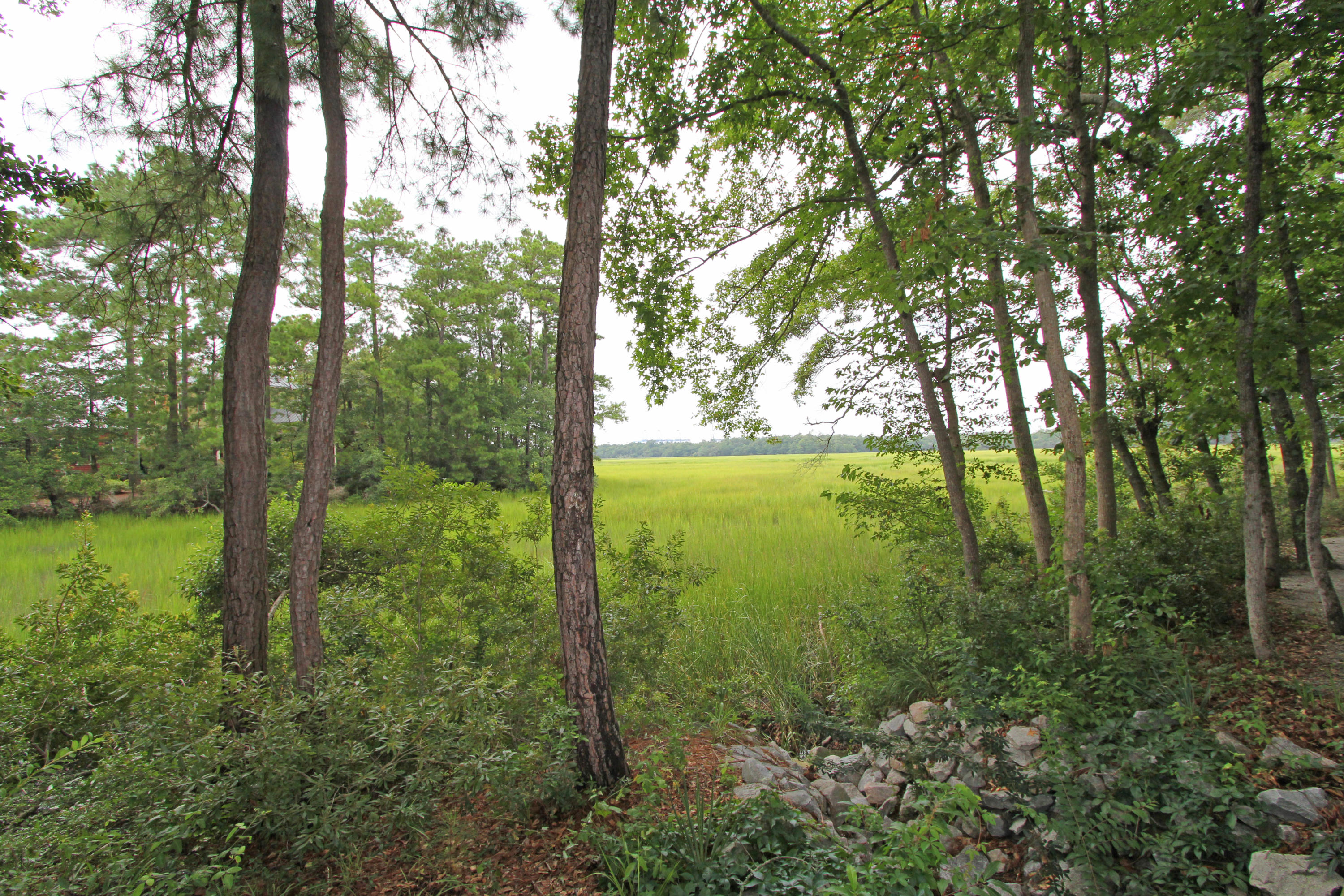 15 Frogmore Road Mount Pleasant, SC 29464 - Photo 20 of 24 View of the marsh