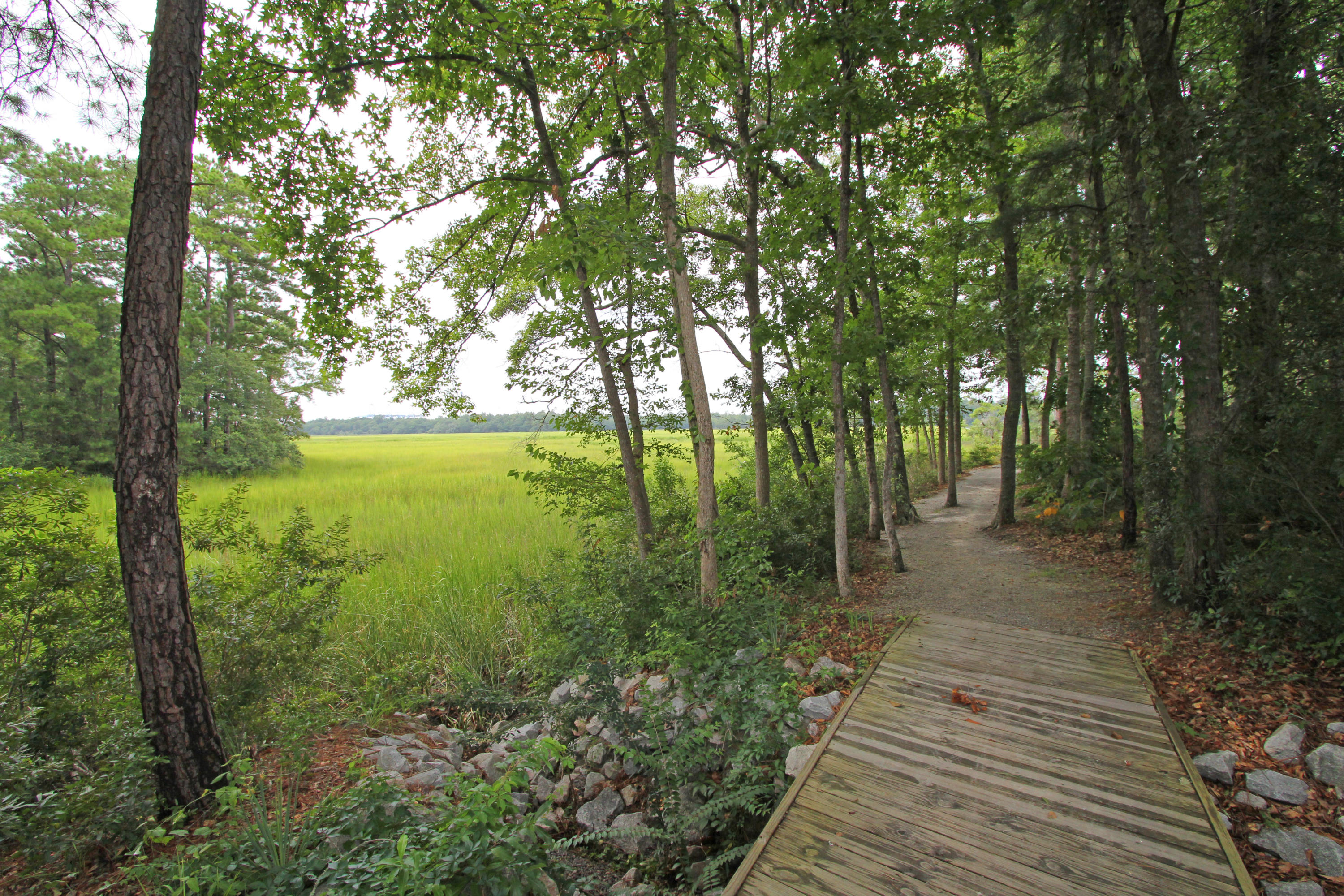 15 Frogmore Road Mount Pleasant, SC 29464 - Photo 21 of 24 Marsh walking trail