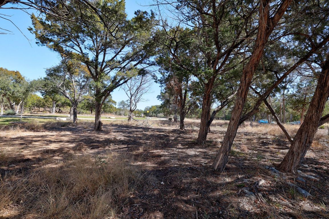 6909 Sunset Ridge Way Jonestown, TX 78645 - Photo 18 of 40 a view of outdoor space with trees