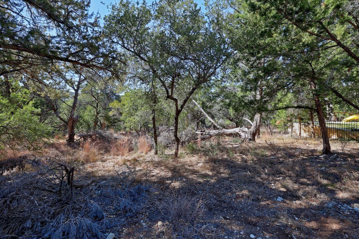 6909 Sunset Ridge Way Jonestown, TX 78645 - Photo 19 of 40 a view of a forest
