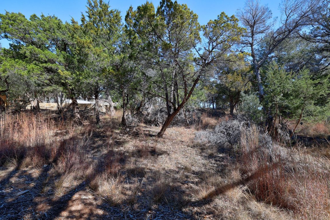 6909 Sunset Ridge Way Jonestown, TX 78645 - Photo 22 of 40 a view of a forest with lots of trees