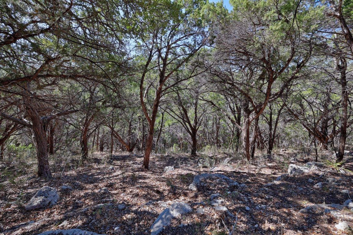 6909 Sunset Ridge Way Jonestown, TX 78645 - Photo 24 of 40 a view of backyard with large trees
