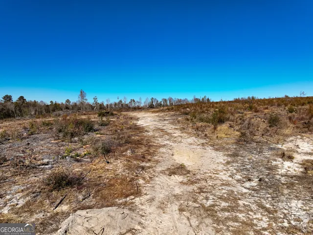 a view of a field with lots of bushes