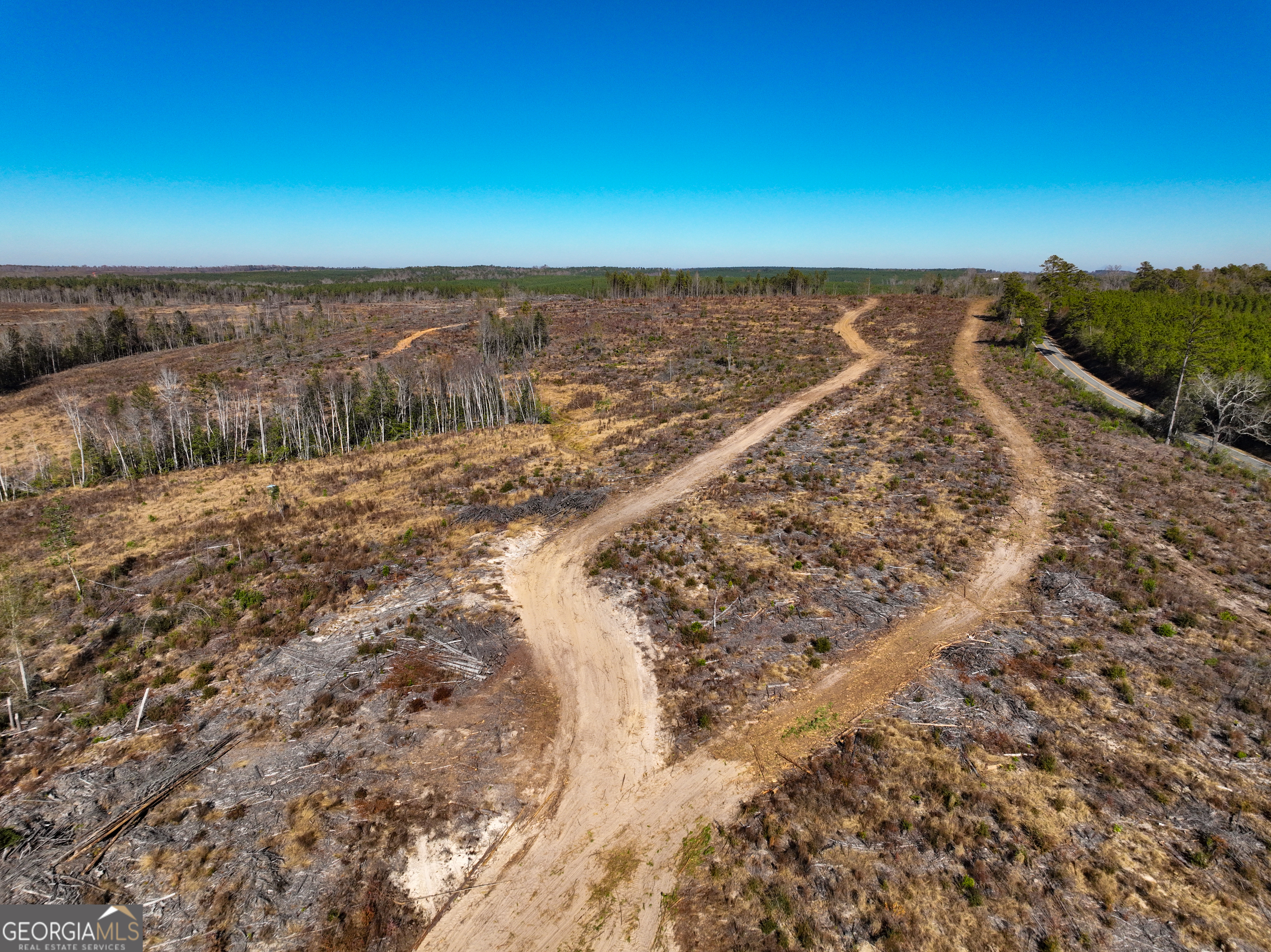 0 Long Branch Road, Unit LOT 6 Toomsboro, GA 31090 - Photo 4 of 13