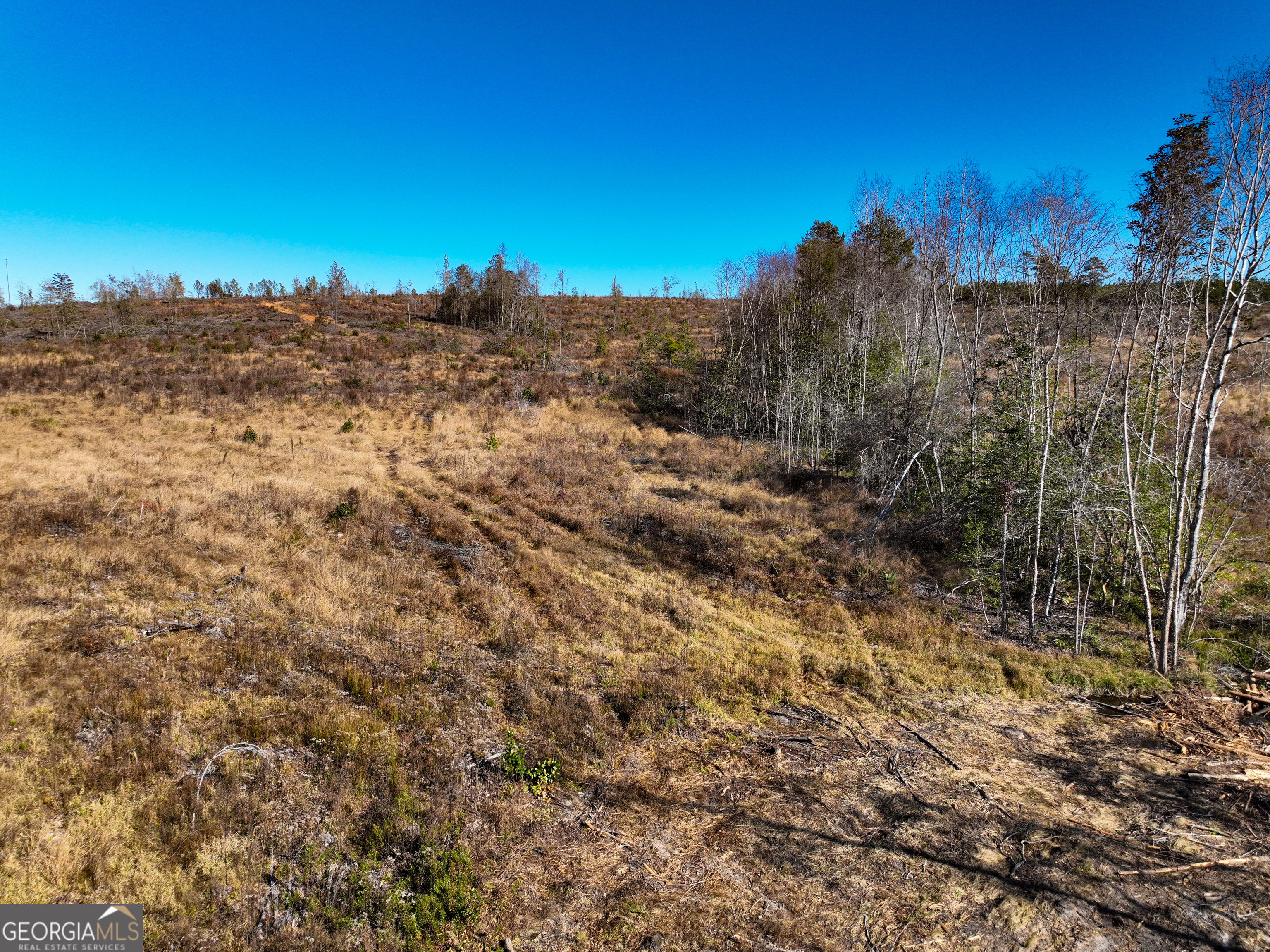 0 Long Branch Road, Unit LOT 6 Toomsboro, GA 31090 - Photo 5 of 13
