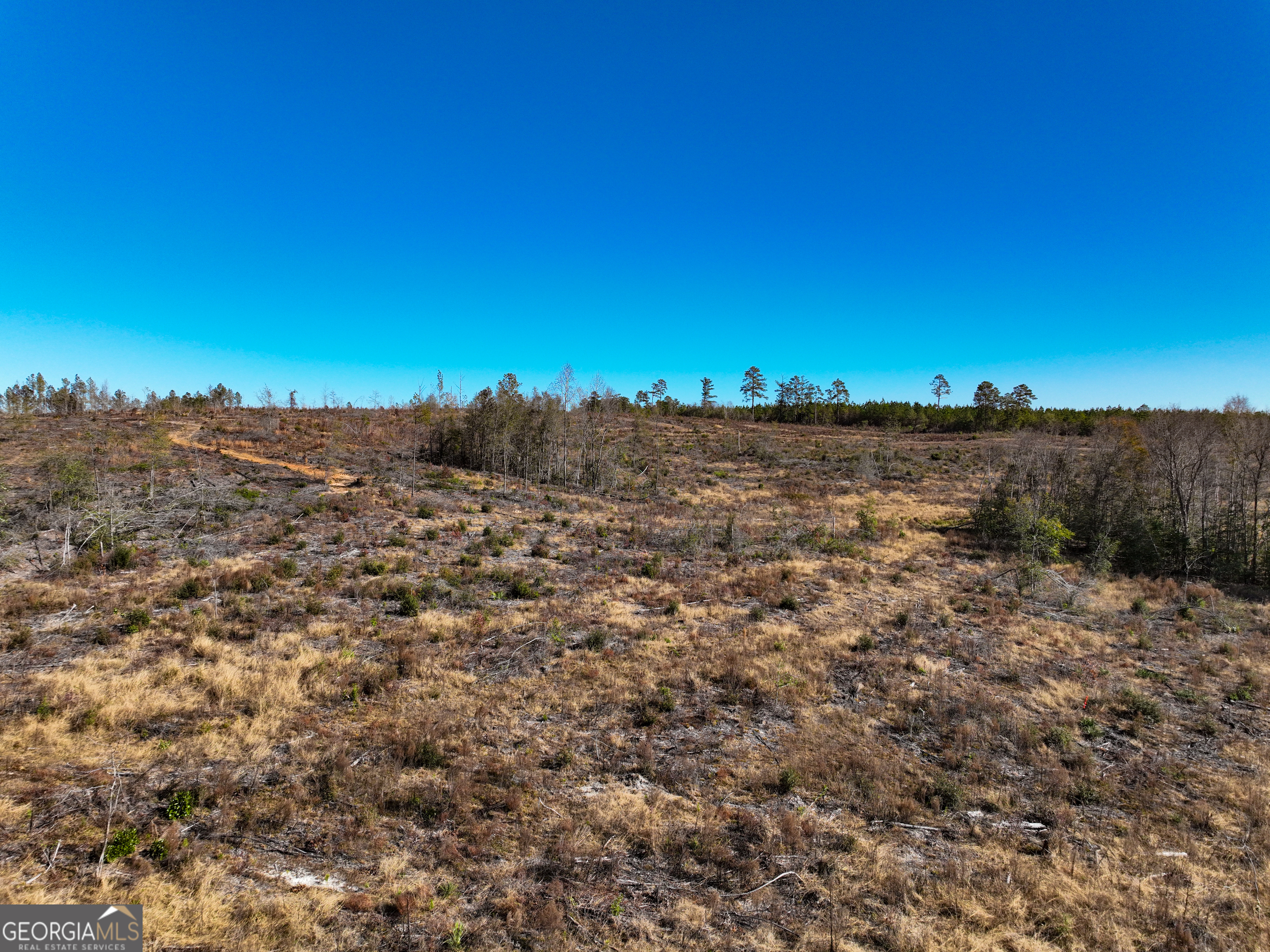 0 Long Branch Road, Unit LOT 6 Toomsboro, GA 31090 - Photo 6 of 13