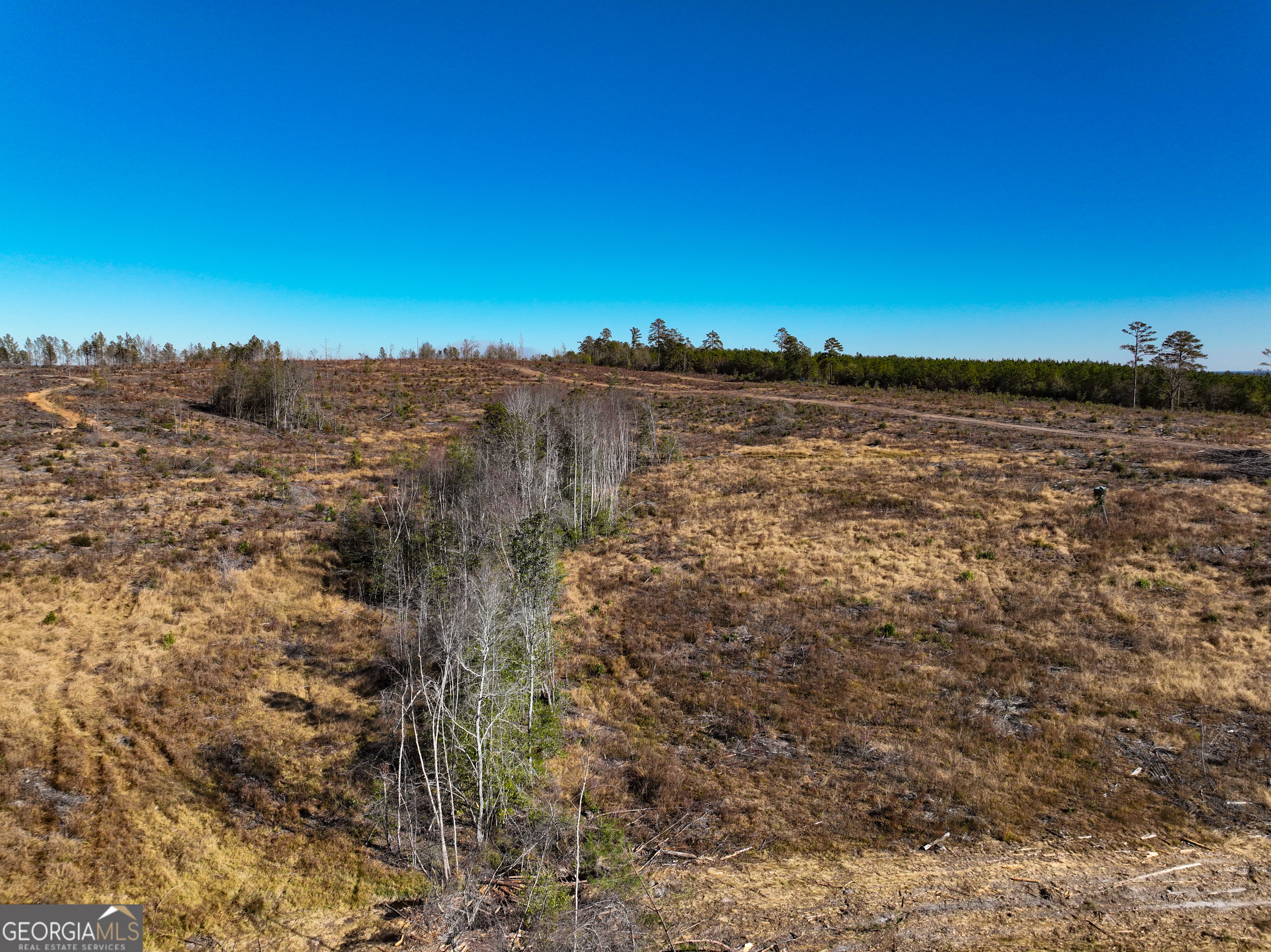 0 Long Branch Road, Unit LOT 6 Toomsboro, GA 31090 - Photo 7 of 13