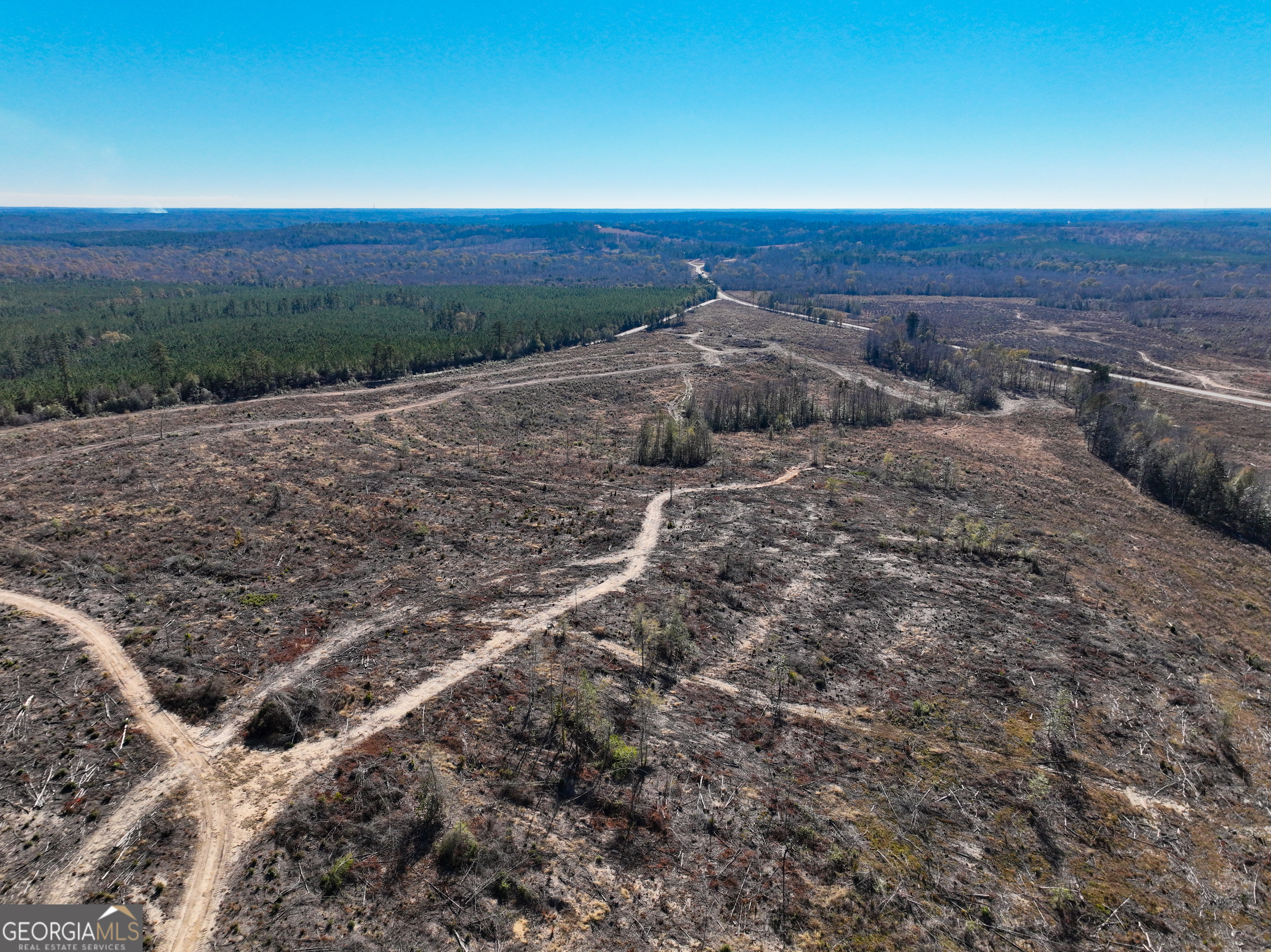 0 Long Branch Road, Unit LOT 6 Toomsboro, GA 31090 - Photo 8 of 13