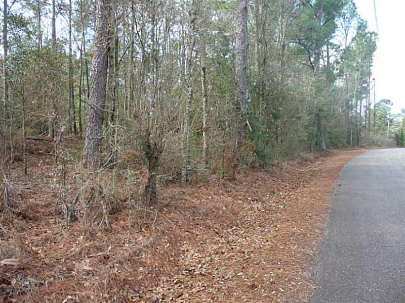0 Kenzie Road Covington, LA 70435 - Photo 3 of 5