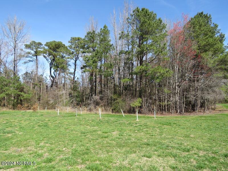 Tbd Regan Church Road Lumberton, NC 28358 - Photo 15 of 18 IMG_7526