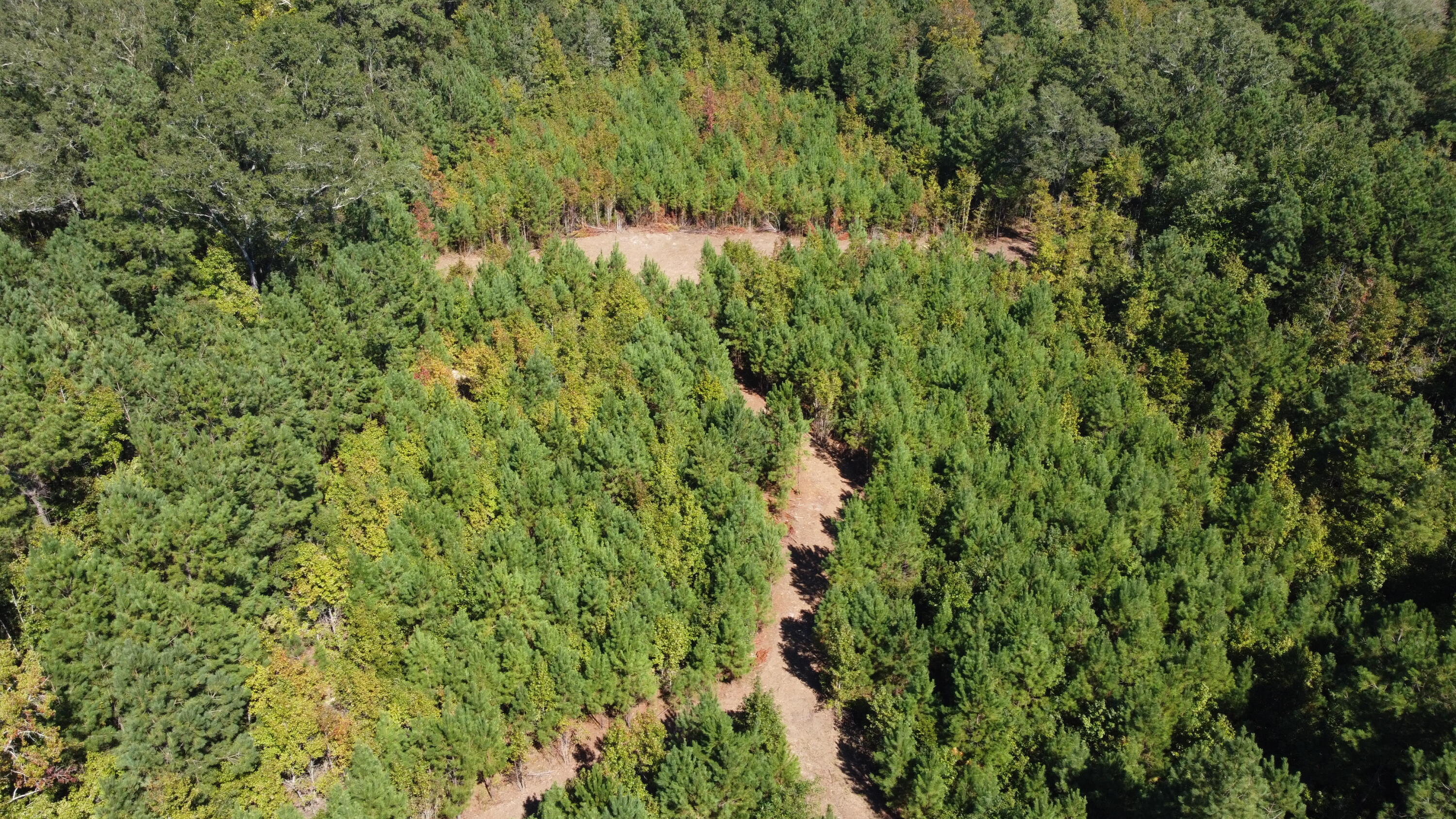 1 Albert Lane Ridgeville, SC 29472 - Photo 5 of 11 DJI_0745
