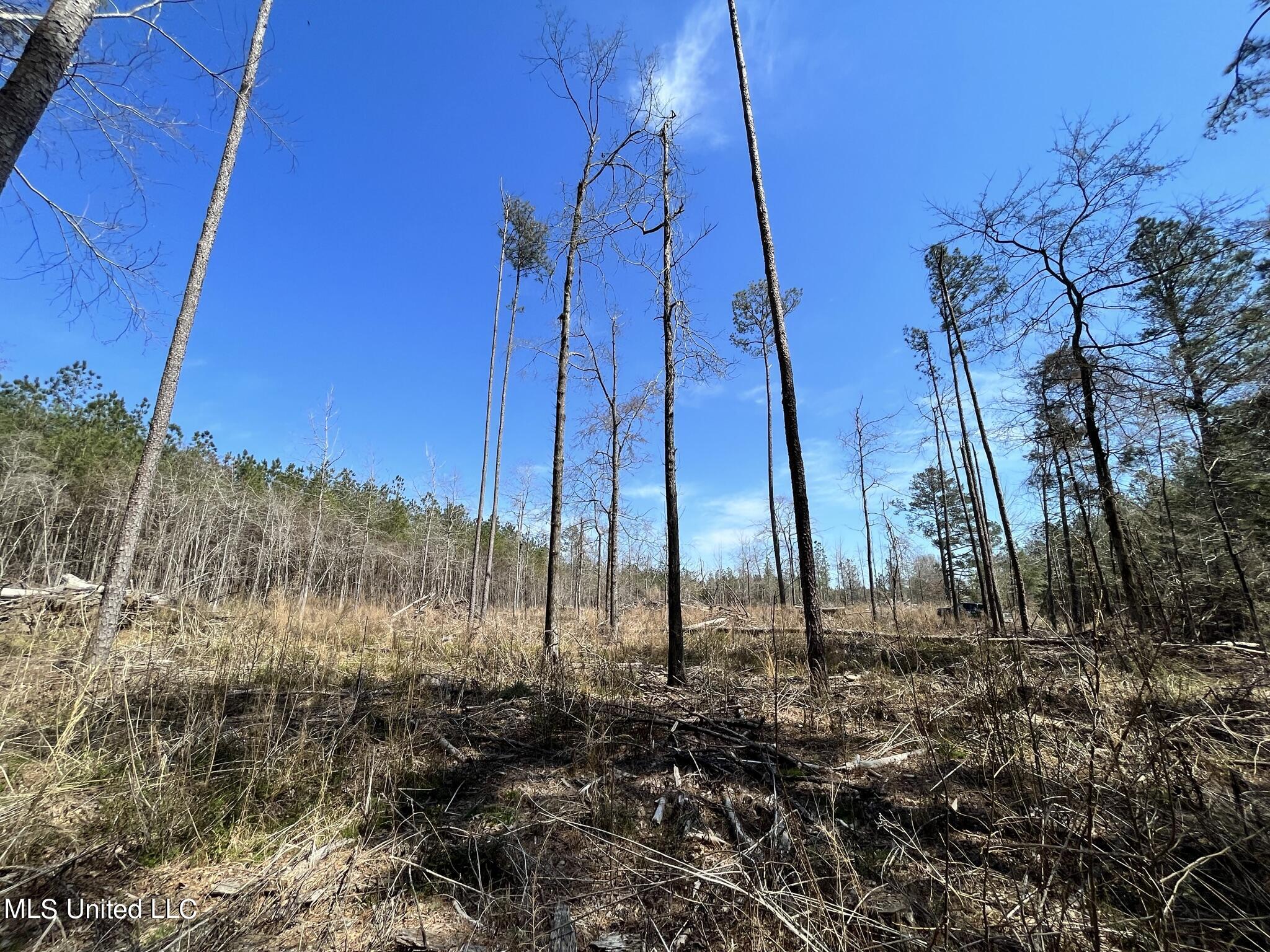 3122 Attala County Road McCool, MS 39108 - Photo 2 of 9 IMG_1621