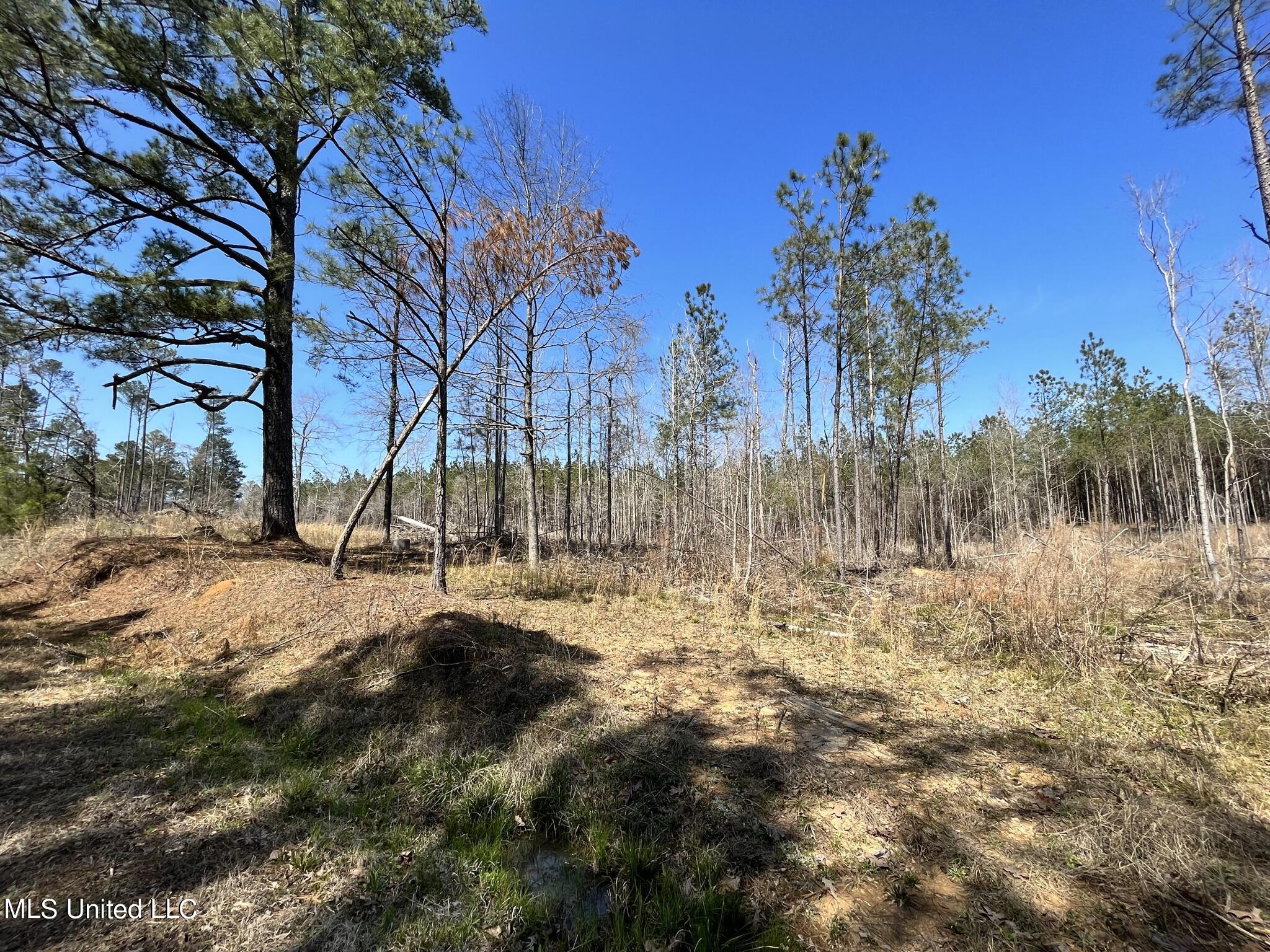 3122 Attala County Road McCool, MS 39108 - Photo 3 of 9 IMG_1623