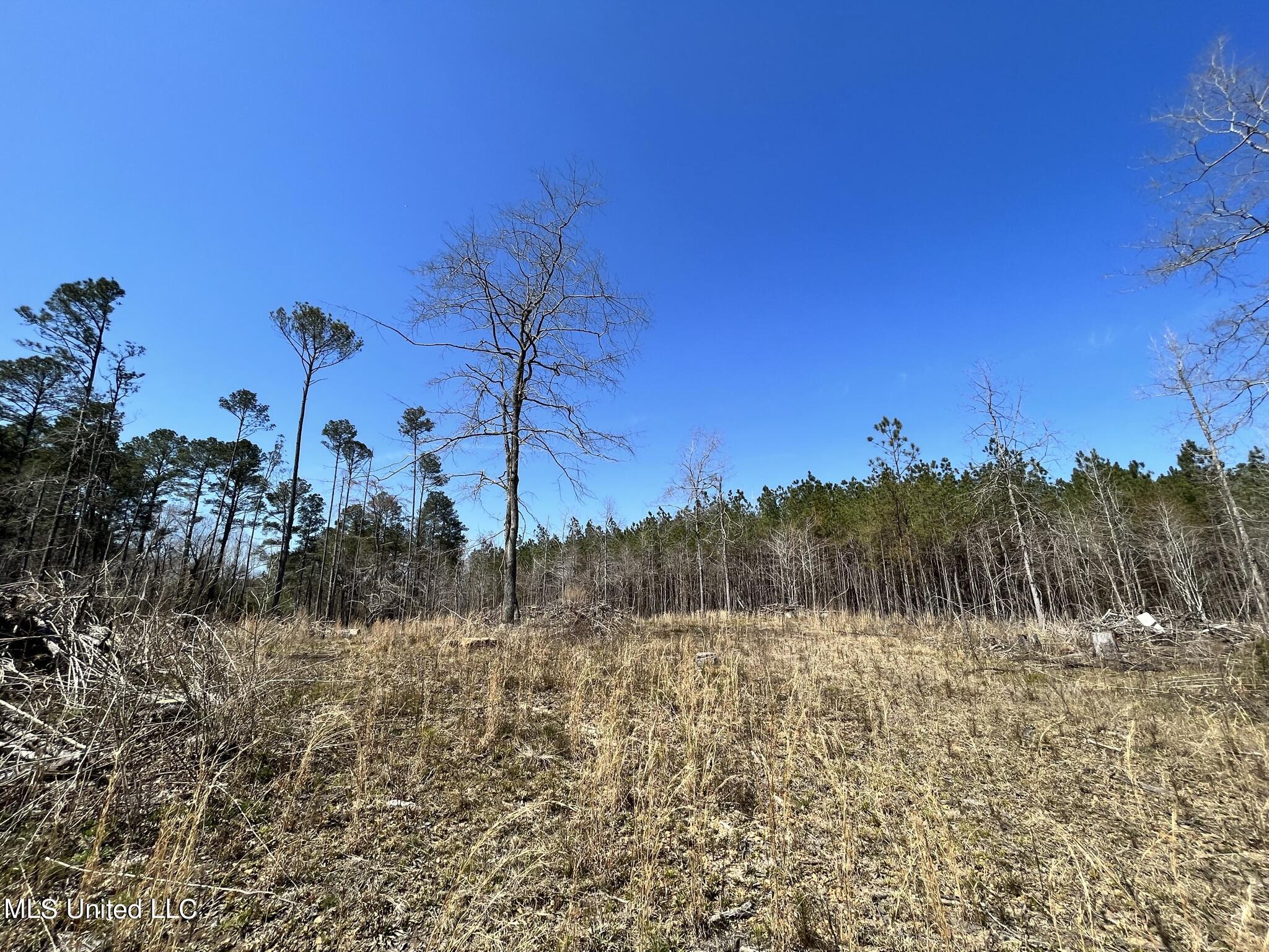 3122 Attala County Road McCool, MS 39108 - Photo 5 of 9 IMG_1626