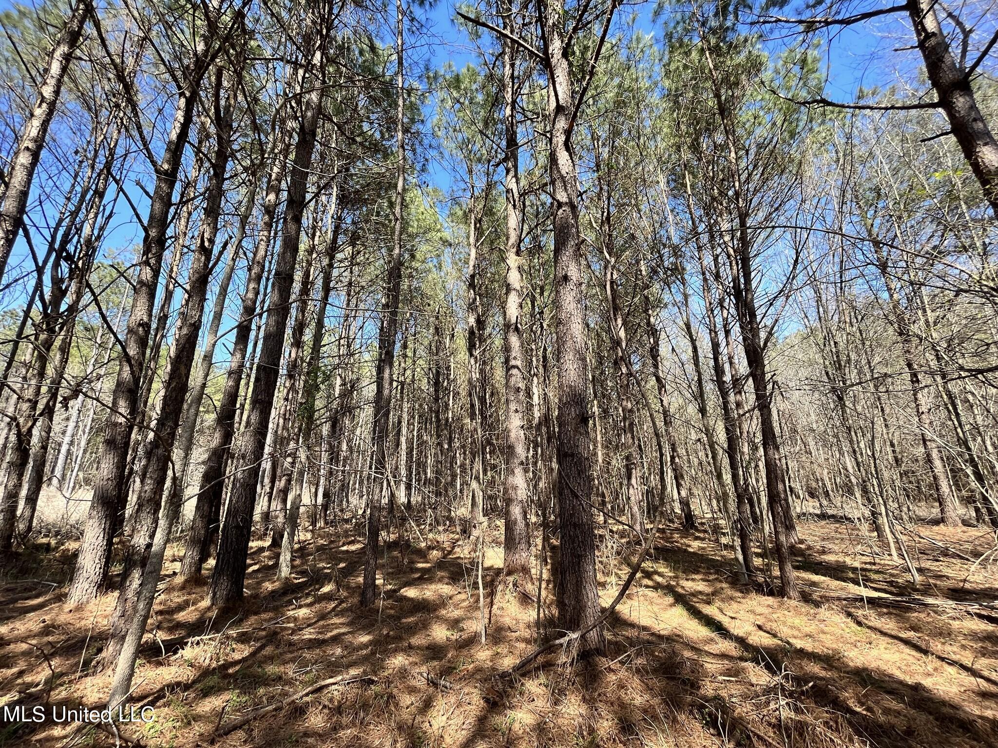 3122 Attala County Road McCool, MS 39108 - Photo 6 of 9 IMG_1628