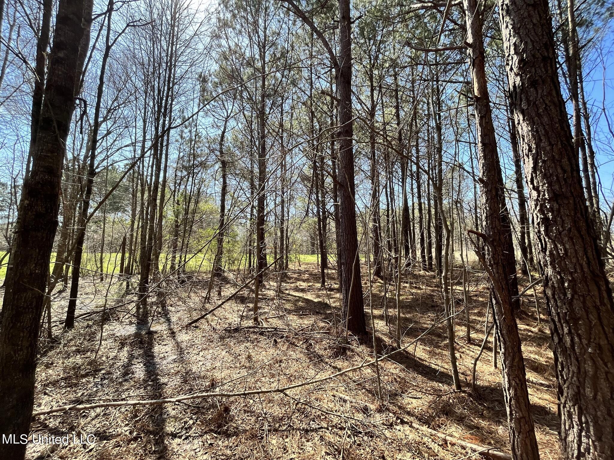 3122 Attala County Road McCool, MS 39108 - Photo 8 of 9 IMG_1630