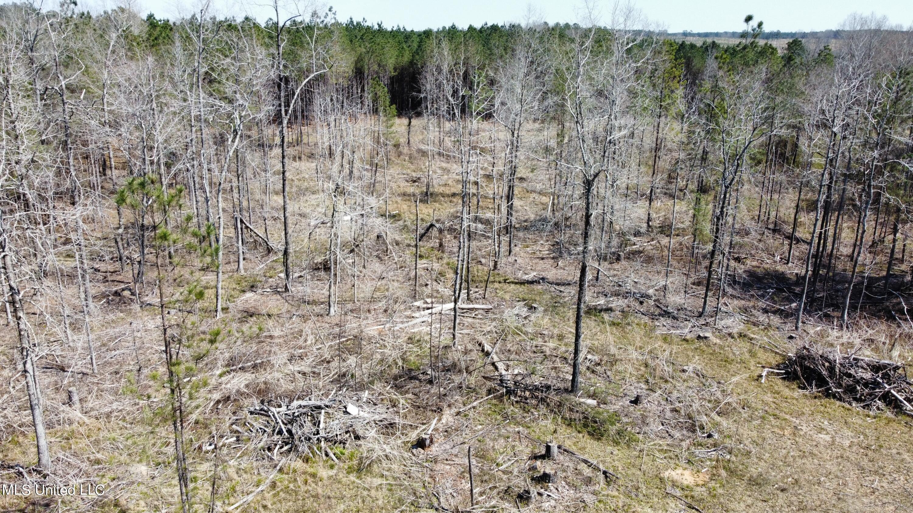 3122 Attala County Road McCool, MS 39108 - Photo 9 of 9 RemoteMediaFile_6553905_0_2022_03_20_14_