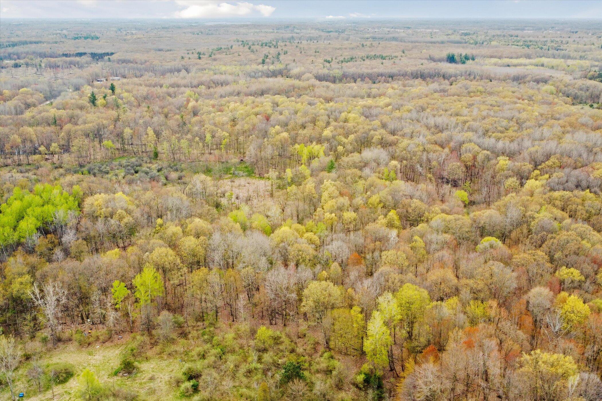3550 East Stanton Road Stanton, MI 48888 - Photo 53 of 57 53-3350-E-Stanton-Rd-Stanton-MI-48888-Wi