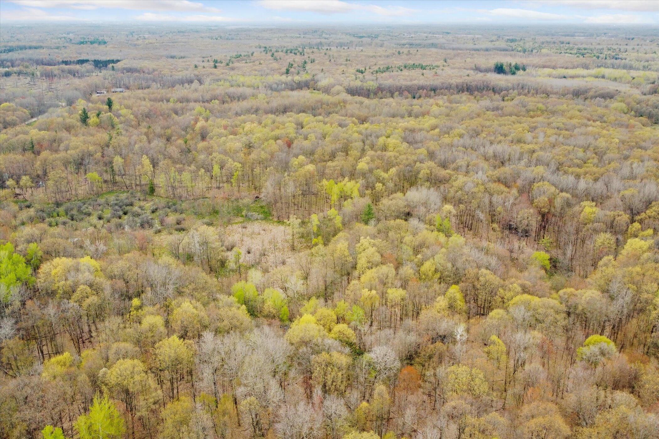 3550 East Stanton Road Stanton, MI 48888 - Photo 54 of 57 54-3350-E-Stanton-Rd-Stanton-MI-48888-Wi