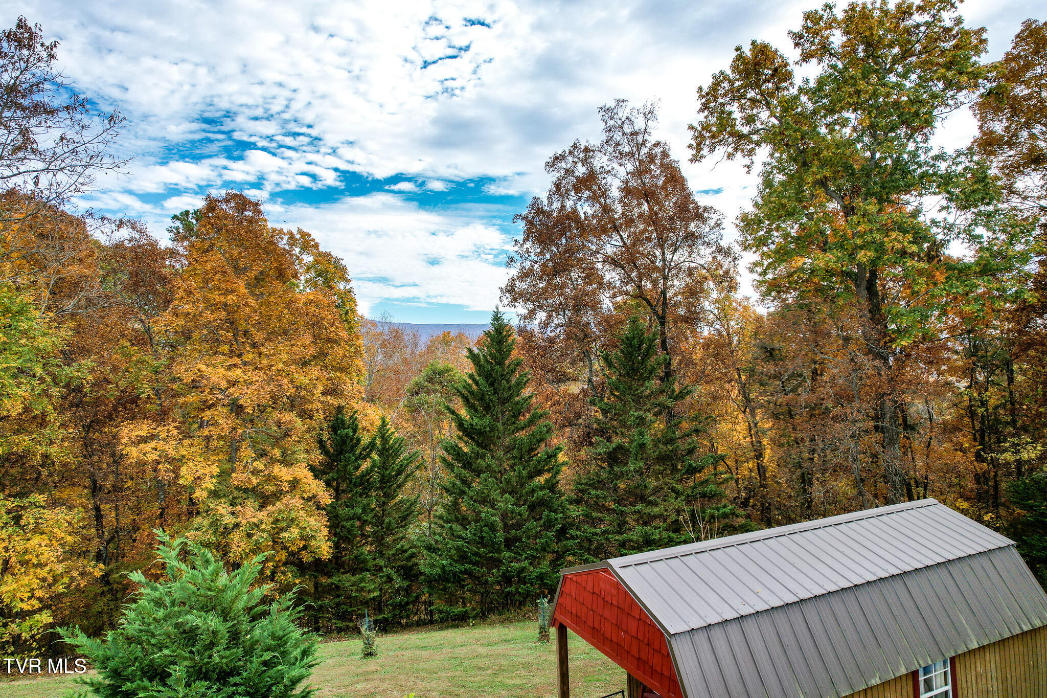 570 Leonard Road Greeneville, TN 37743 - Photo 53 of 85 DJI_0034