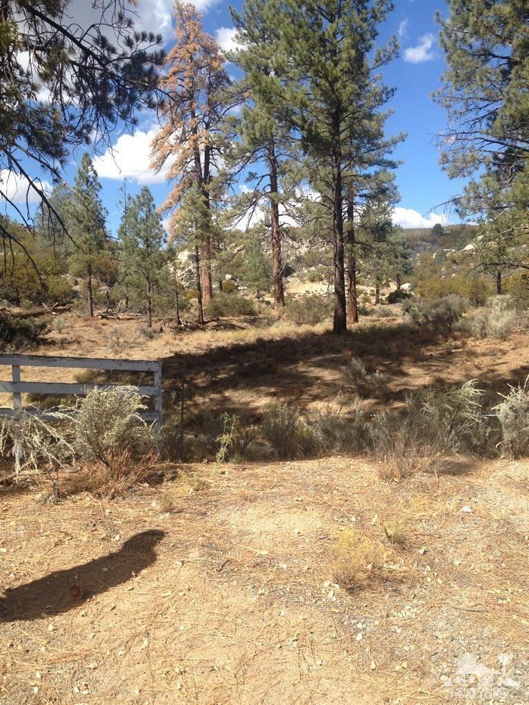 0 Table Mountain Road Mountain Center, CA 92561 - Photo 2 of 19 a view of dirt yard with a tree