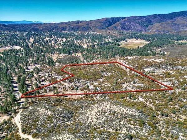 a view of a lot of trees and houses