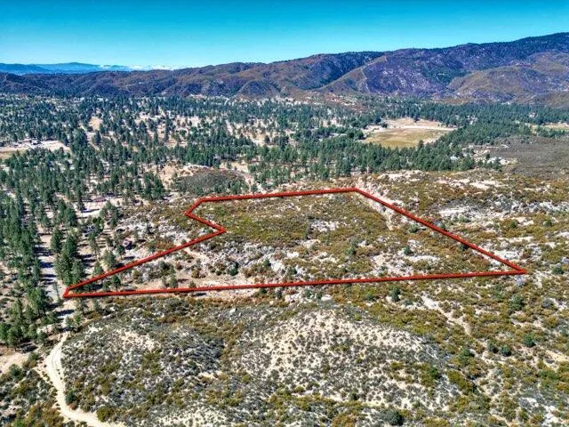 a view of a lot of trees and houses