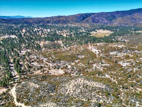 0 Table Mountain Road Mountain Center, CA 92561 - Photo 5 of 19 a view of a lush green field with lots of bushes