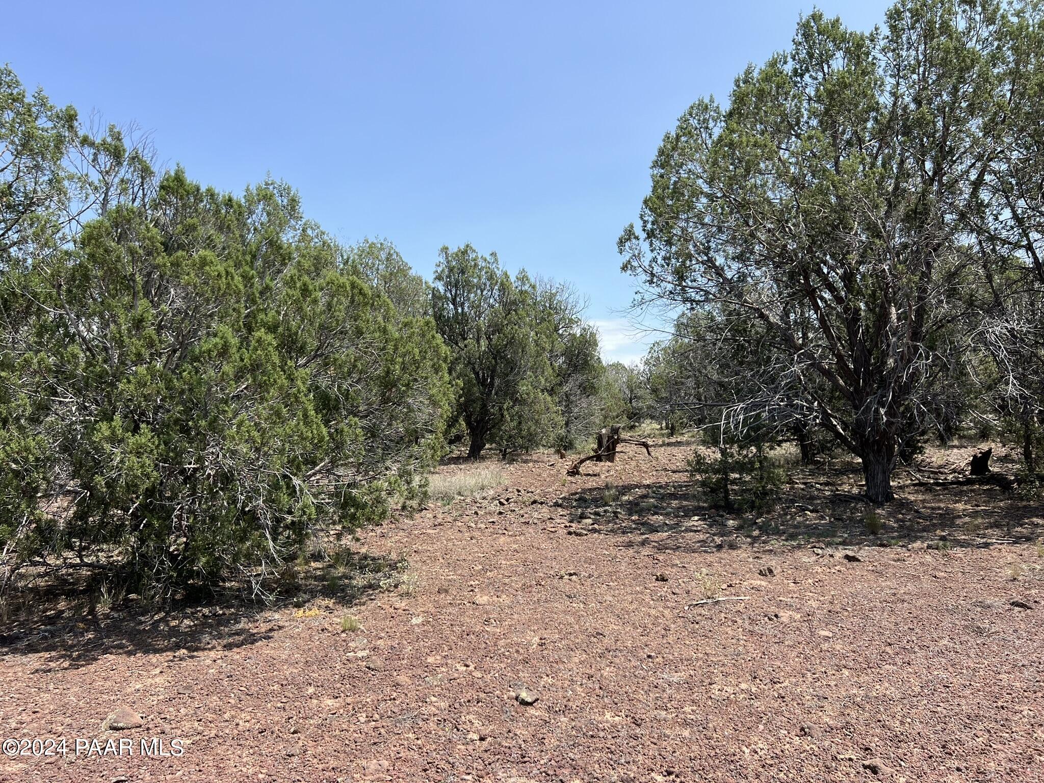 121 Camp Road Ash Fork, AZ 86320 - Photo 3 of 7 IMG_6239