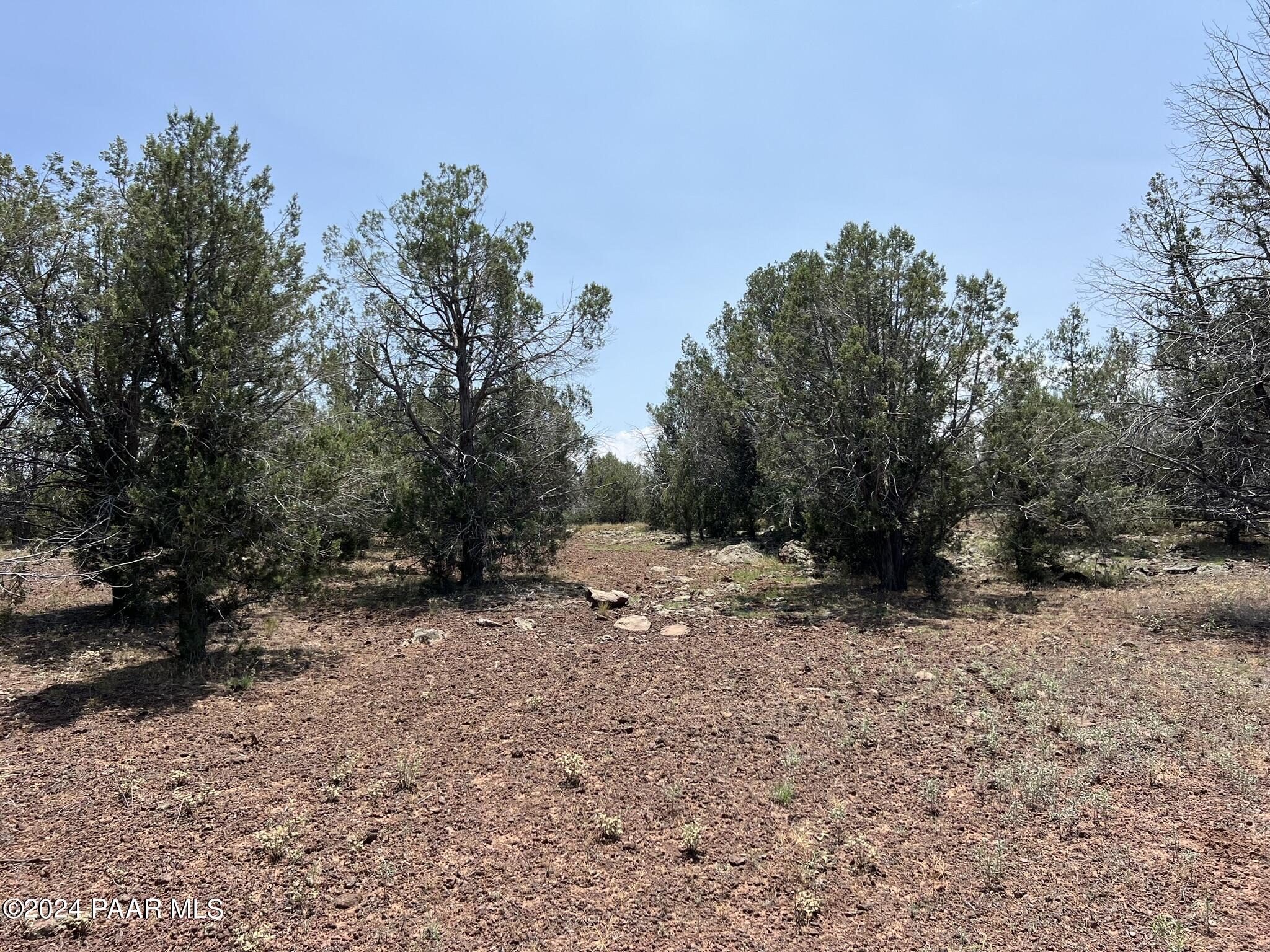 121 Camp Road Ash Fork, AZ 86320 - Photo 4 of 7 IMG_6241