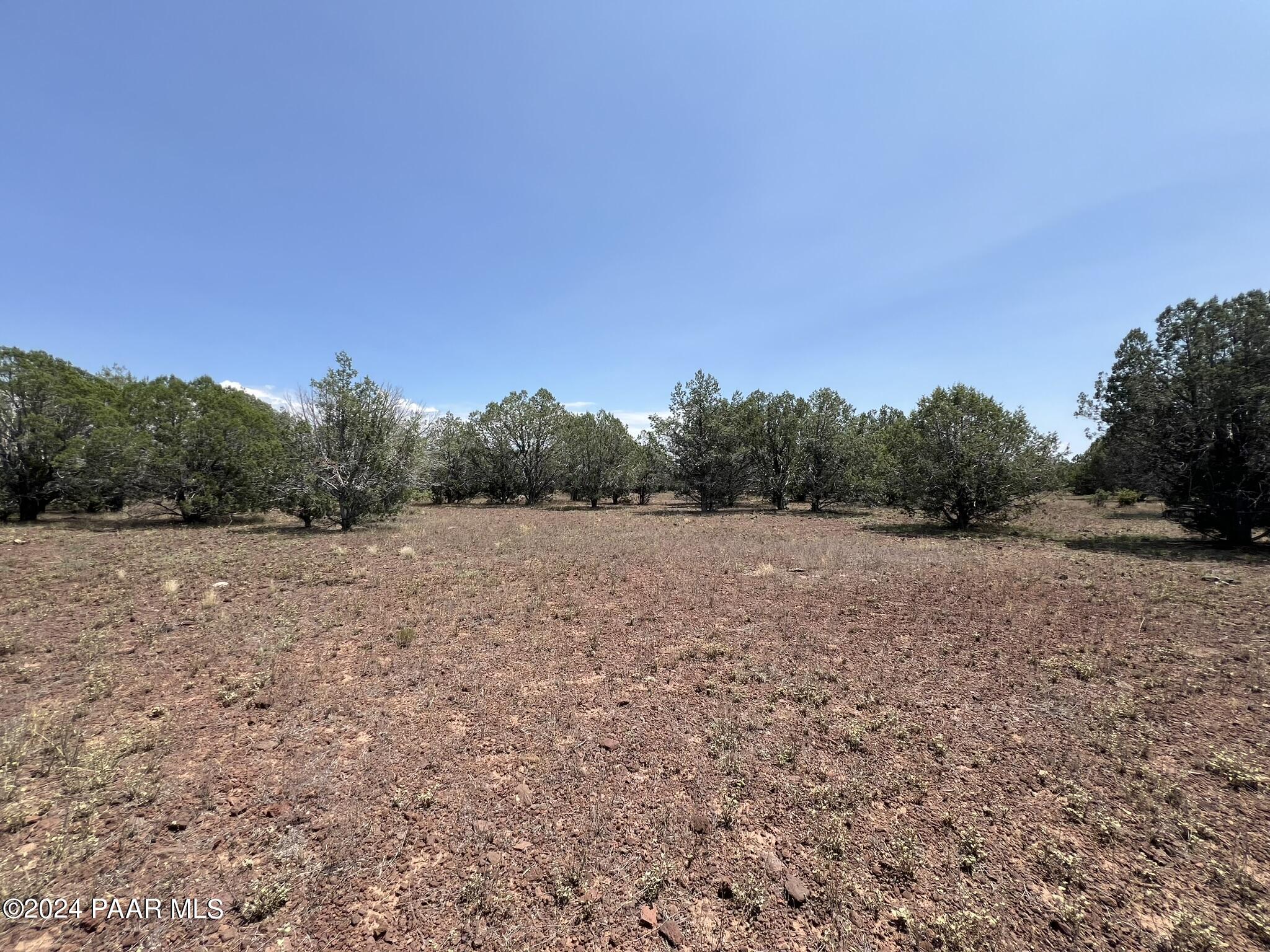 121 Camp Road Ash Fork, AZ 86320 - Photo 6 of 7 IMG_6243