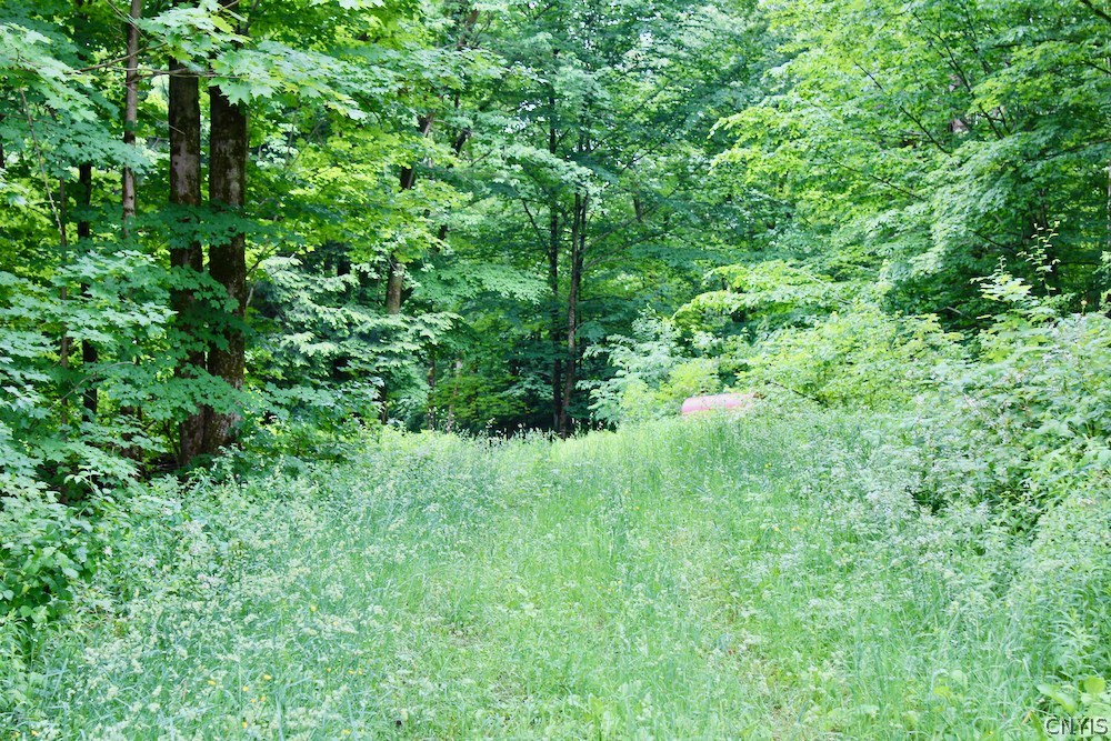 0 Co Rt 26 Parish, NY 13131 - Photo 1 of 1