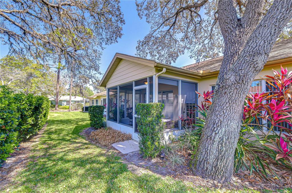 6543 Pine Walk Drive New Port Richey, FL 34655 - Photo 39 of 43