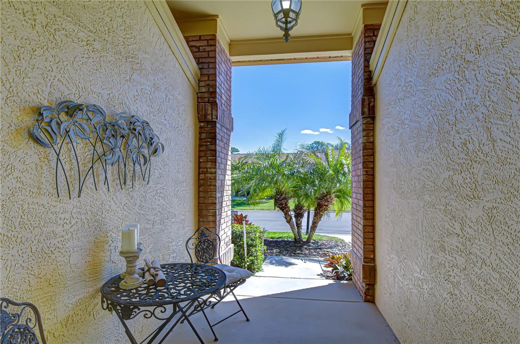 6543 Pine Walk Drive New Port Richey, FL 34655 - Photo 6 of 43