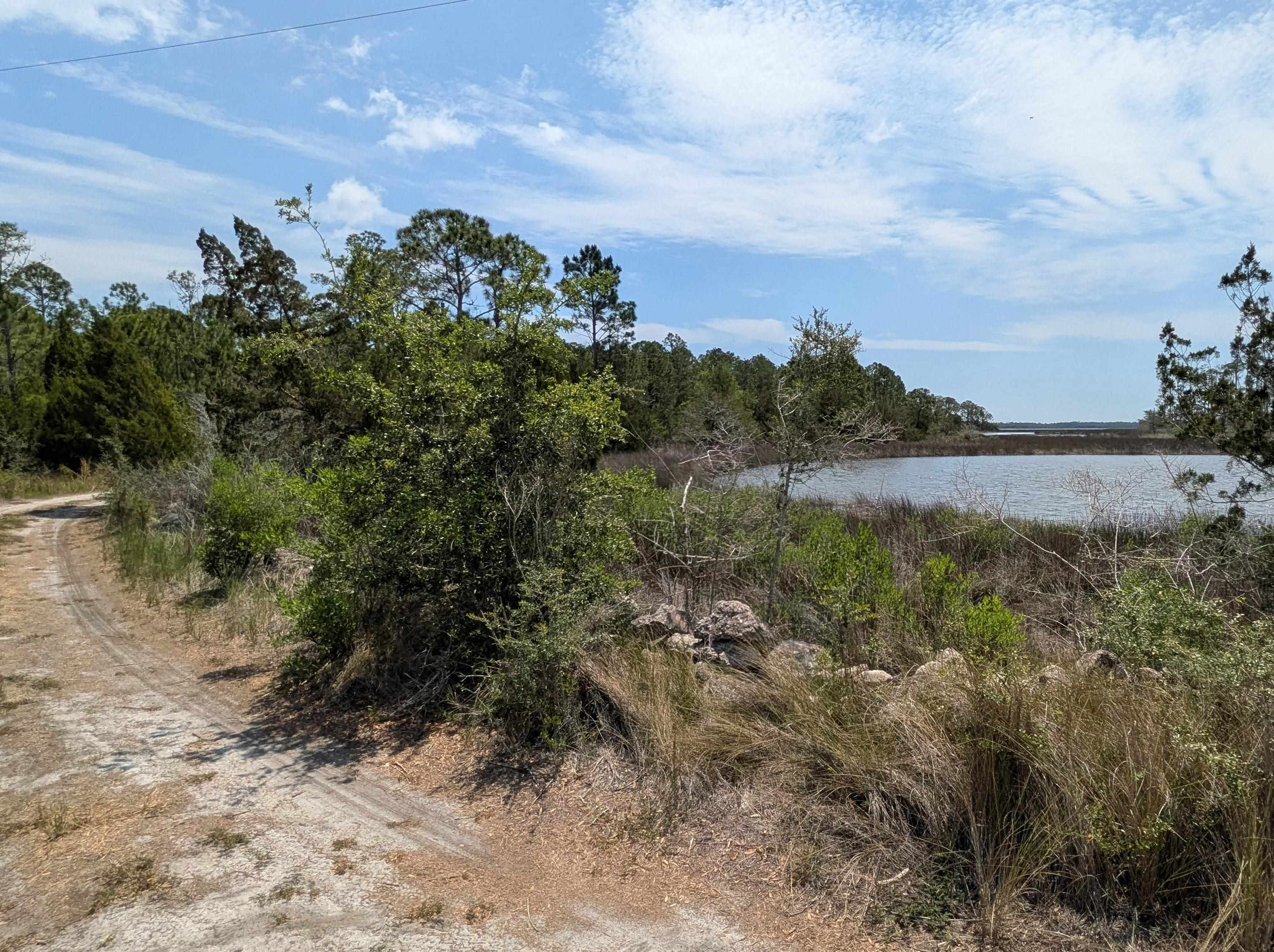 337 Levy Bay Road Panacea, FL 32346 - Photo 5 of 12