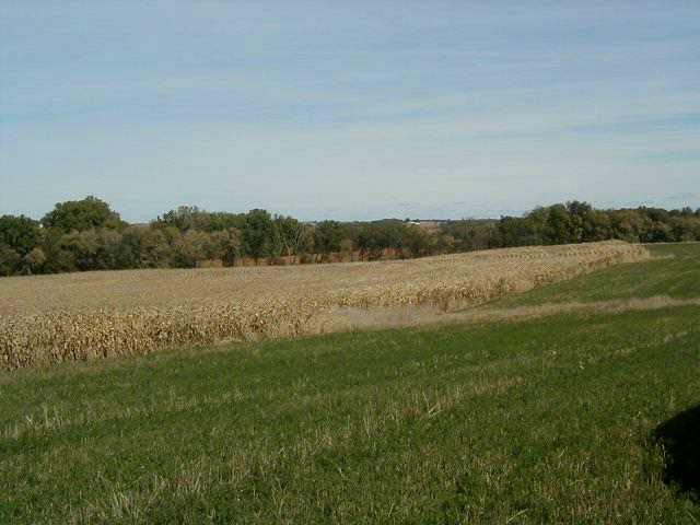Tbd Cedarville Road Lena, IL 61048 - Photo 1 of 3 a view of a lake with houses in the back