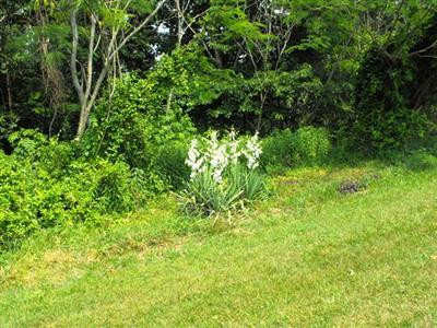 132 Proffitt Road Zoe, KY 41397 - Photo 12 of 63 Photo 12